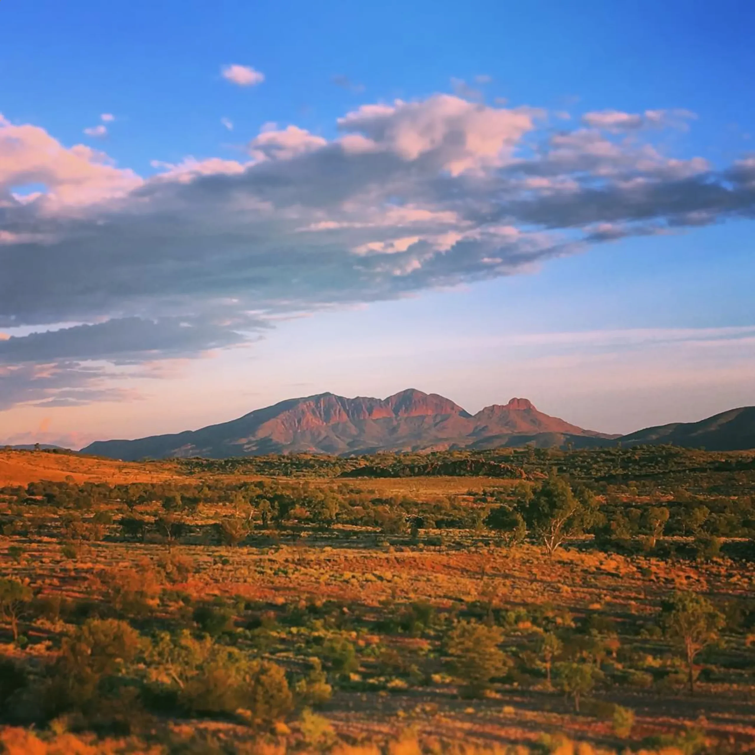 natural wonders, Larapinta