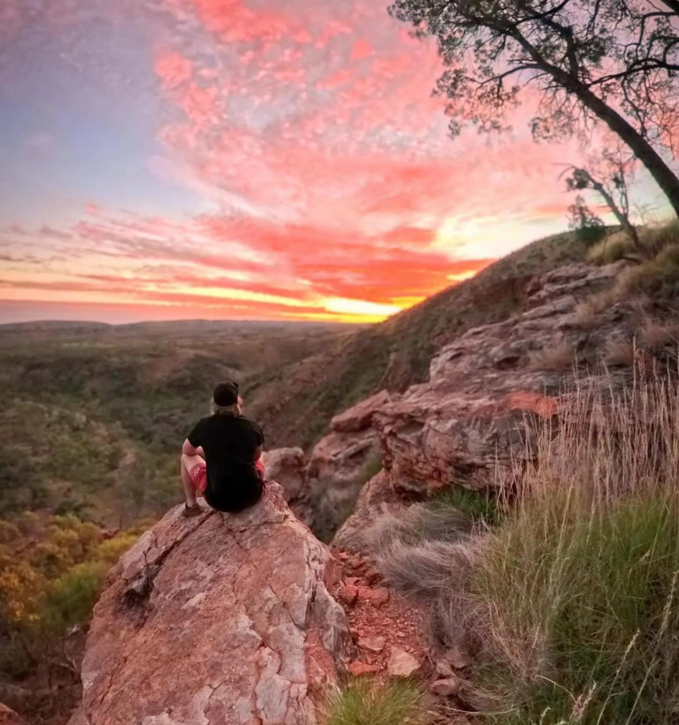 rugged landscapes, Larapinta