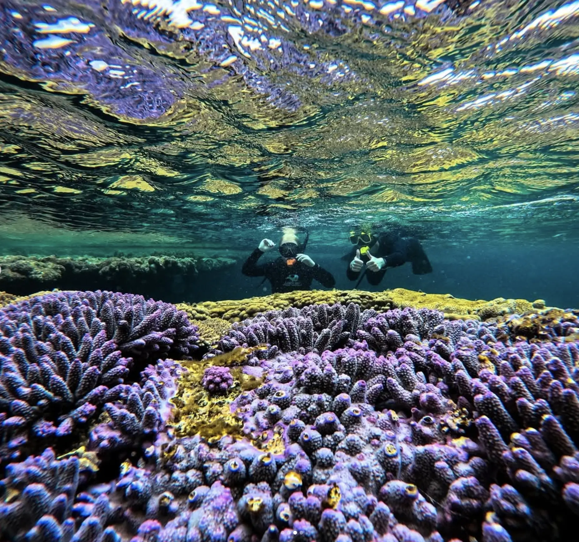 Coral Coast WA